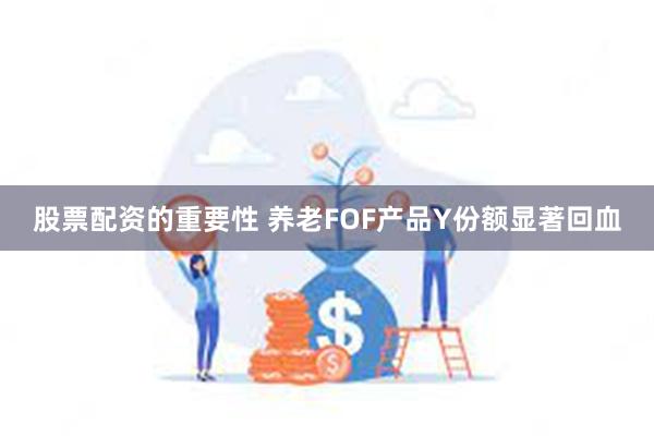 股票配资的重要性 养老FOF产品Y份额显著回血