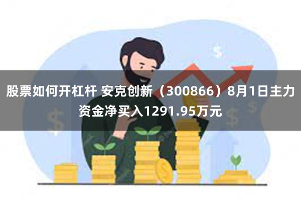 股票如何开杠杆 安克创新（300866）8月1日主力资金净买