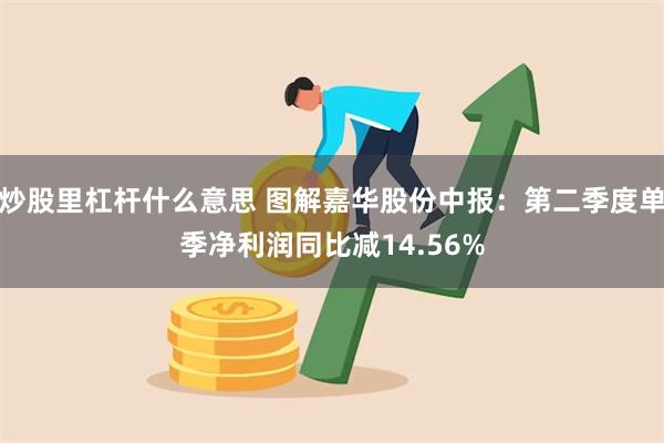 炒股里杠杆什么意思 图解嘉华股份中报：第二季度单季净利润同比减14.56%