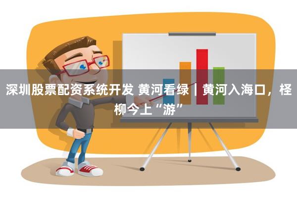 深圳股票配资系统开发 黄河看绿｜黄河入海口，柽柳今上“游