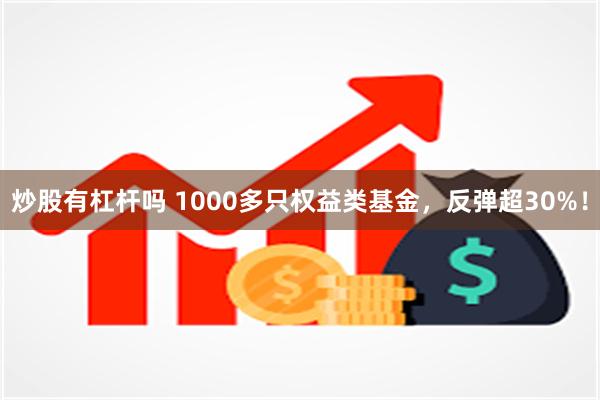 炒股有杠杆吗 1000多只权益类基金，反弹超30%！