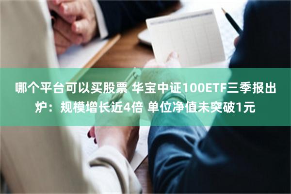 哪个平台可以买股票 华宝中证100ETF三季报出炉：规模增长