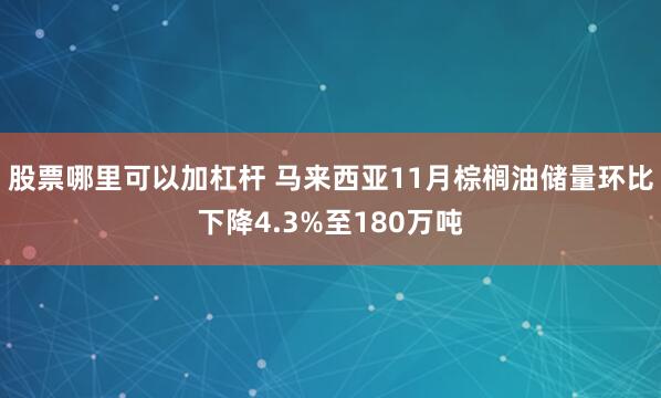 股票哪里可以加杠杆 马来西亚11月棕榈油储量环比下降4.3%至180万吨