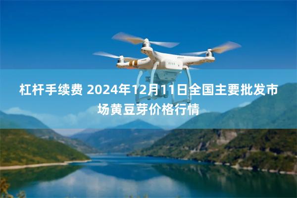 杠杆手续费 2024年12月11日全国主要批发市场黄豆芽价格行情