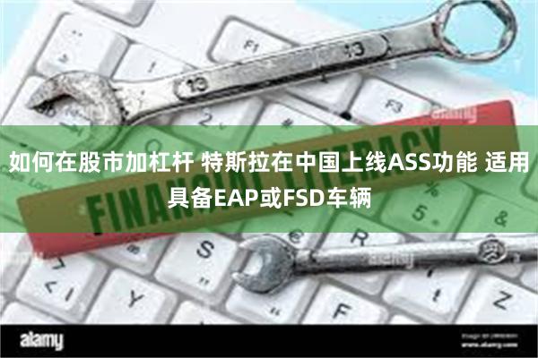 如何在股市加杠杆 特斯拉在中国上线ASS功能 适用具备EAP或FSD车辆