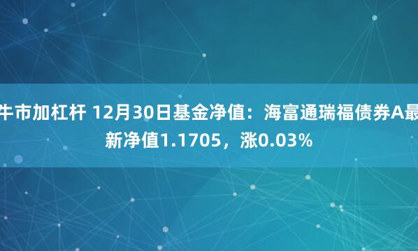 牛市加杠杆 12月30日基金净值：海富通瑞福债券A最新净值1.1705，涨0.03%